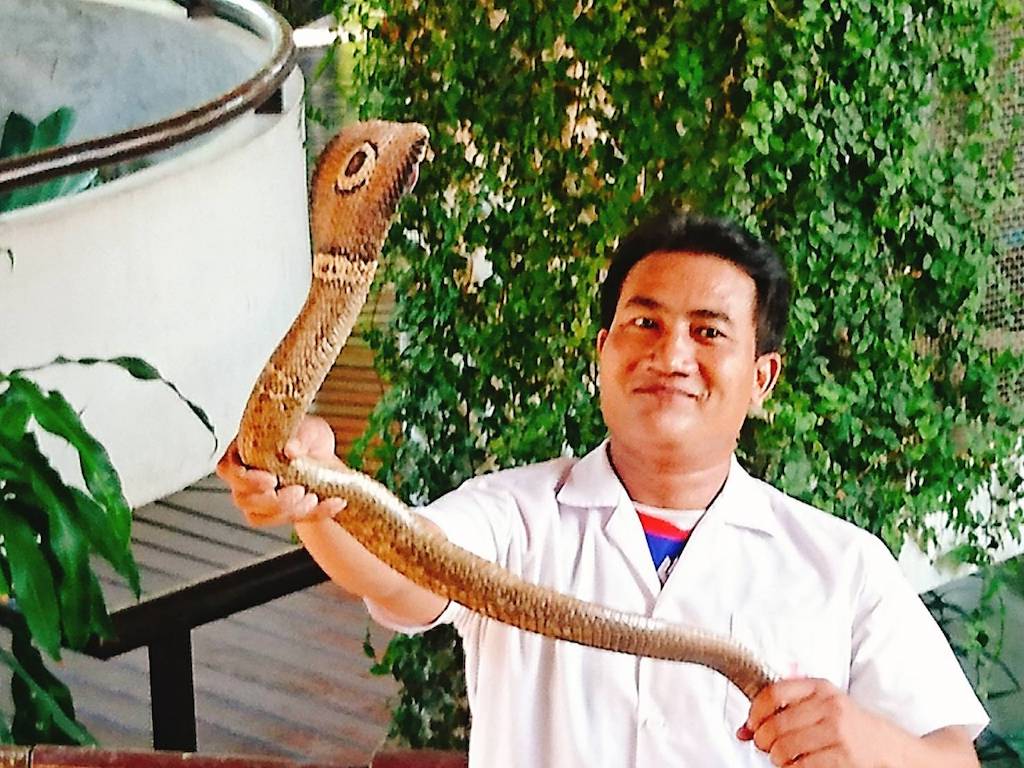 爬虫類好き、ヘビ好きにおすすめしたいタイの観光スポット「スネークファーム」
