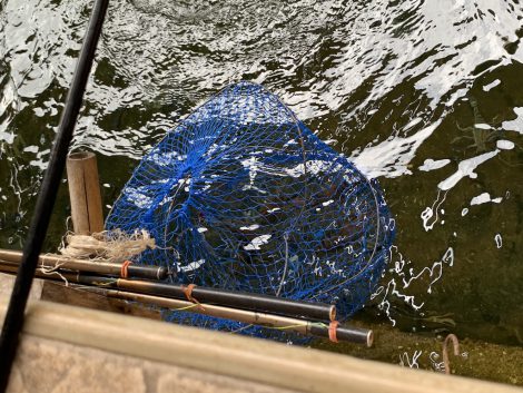 エビ釣り　