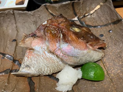 菜遊季　鯛塩焼き